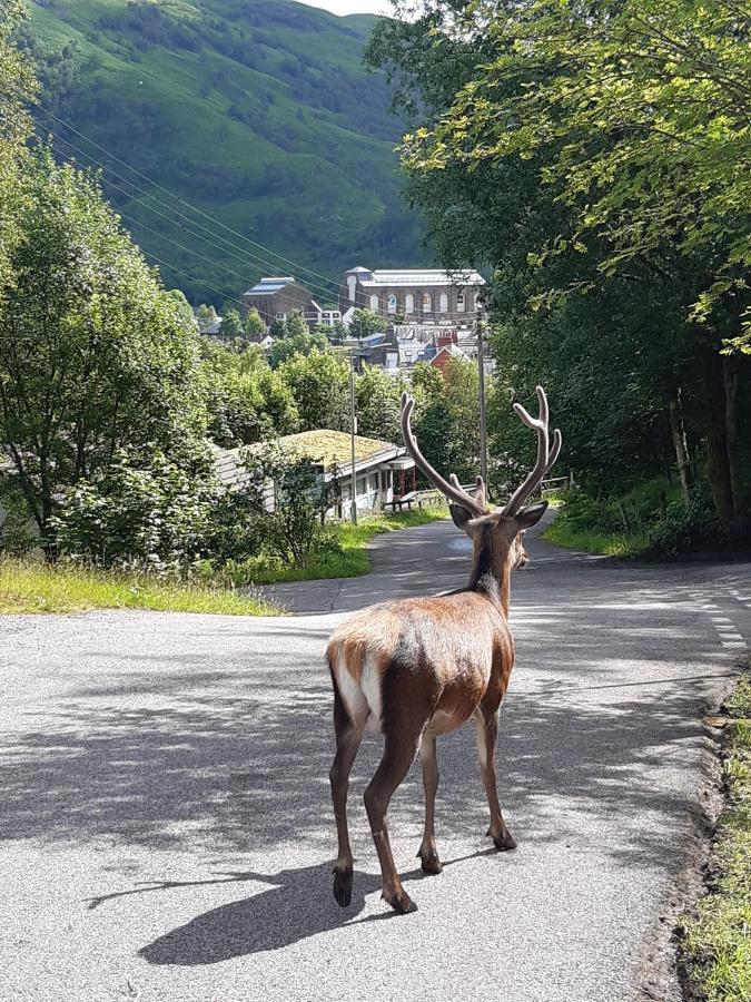 Riverside Pod, West Highland Way Holidays คินลอคคลีเวน ภายนอก รูปภาพ